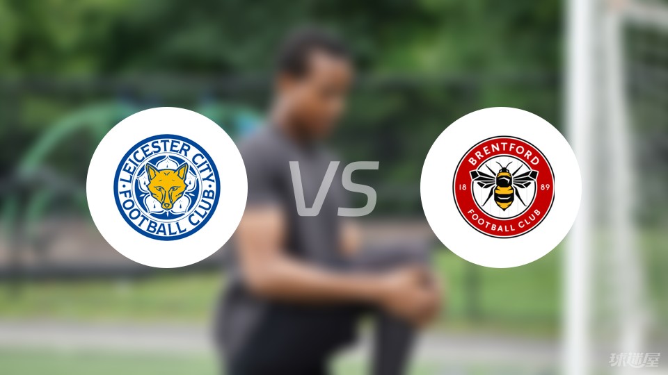 记者：皮奥是新的维埃里，他是意大利足球的唯一希望